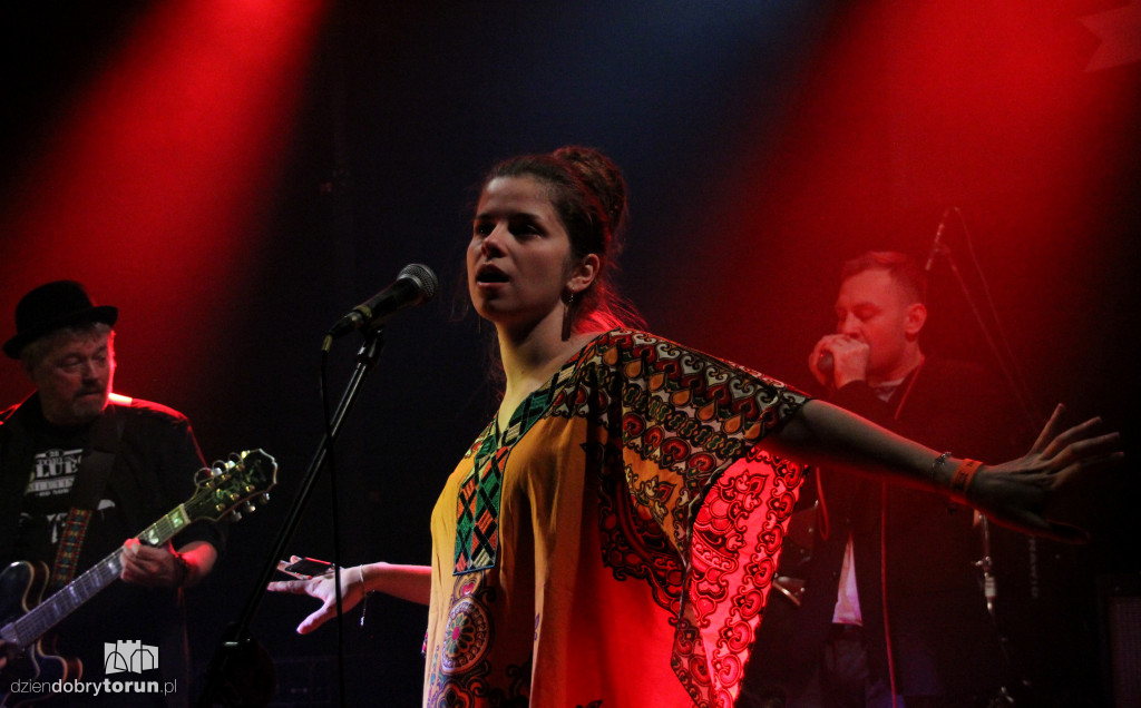 Miłośnicy bluesa znów spotkali się w Toruniu