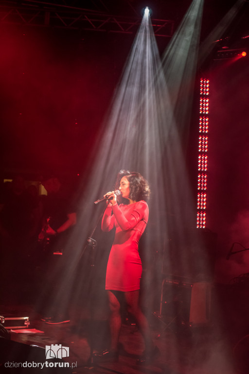 Koncert pamięci Grzegorza Ciechowskiego