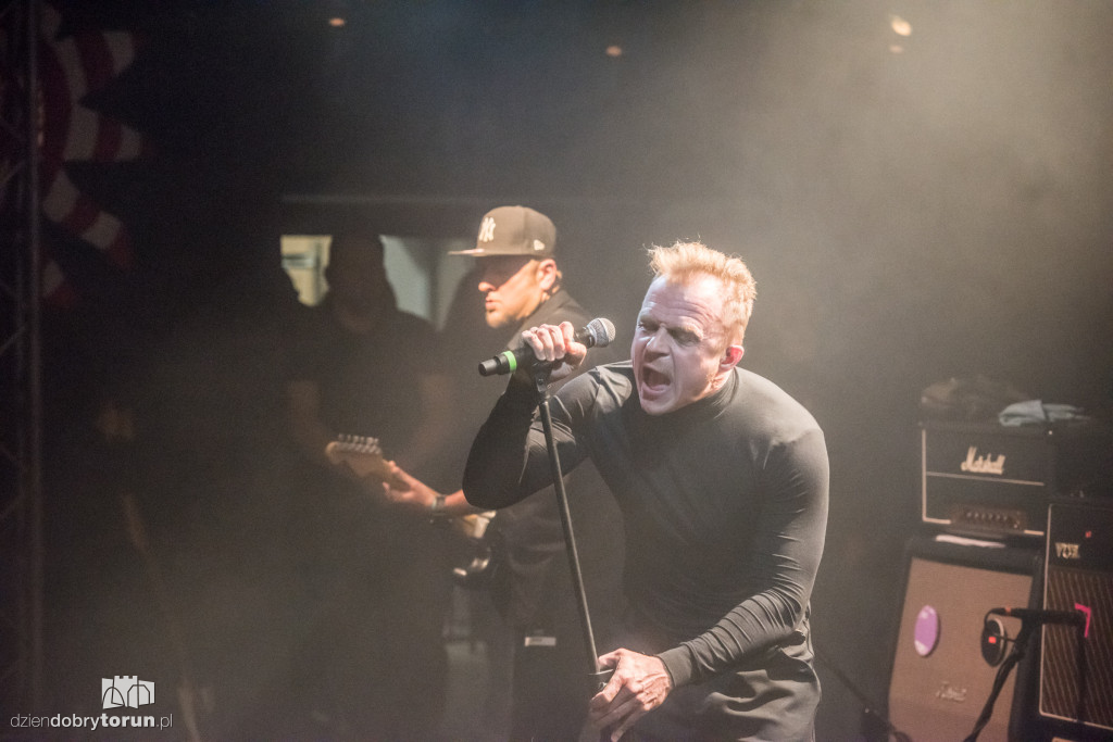 Koncert pamięci Grzegorza Ciechowskiego