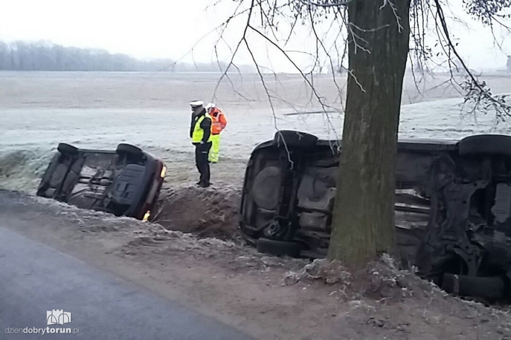 Ale ślisko! Samochody wpadały w rowy