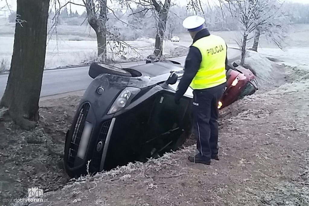 Ale ślisko! Samochody wpadały w rowy