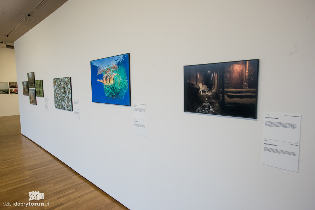 World Press Photo 2017 w CSW