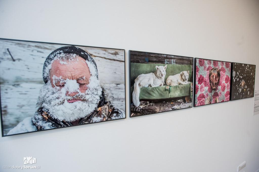 World Press Photo 2017 w CSW