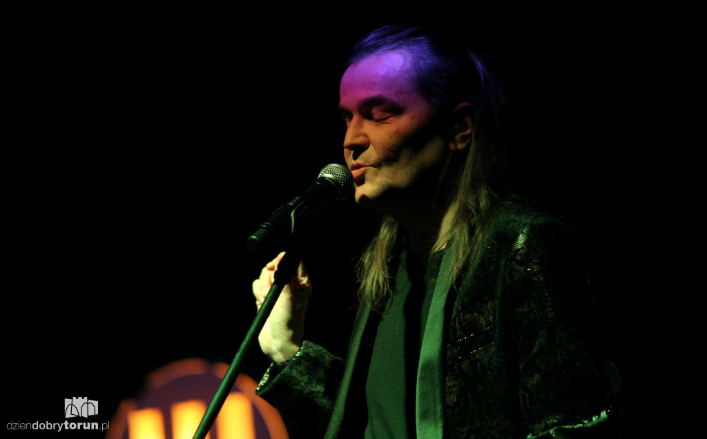 Wilki zagrały w Toruniu