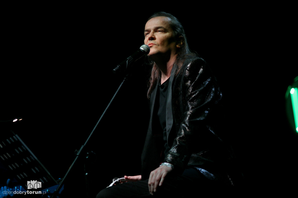 Wilki zagrały w Toruniu