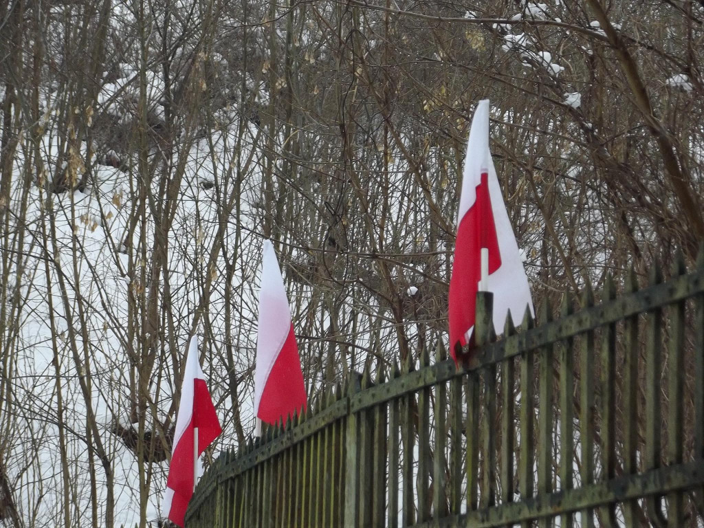 Wyzwolenie Torunia w Forcie I