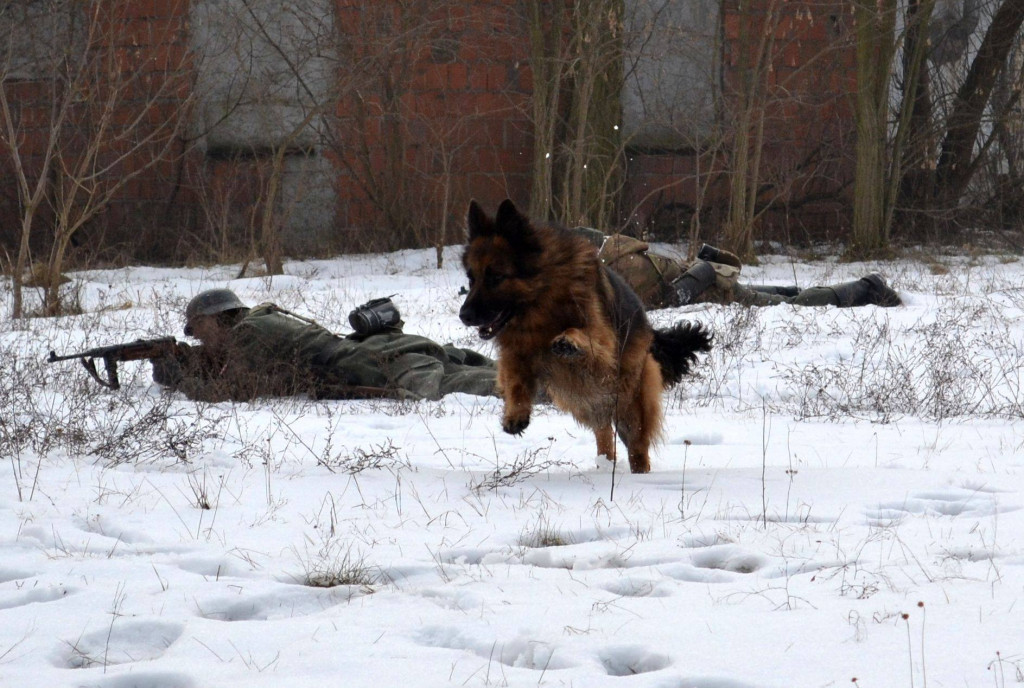 Wyzwolenie Torunia w Forcie I