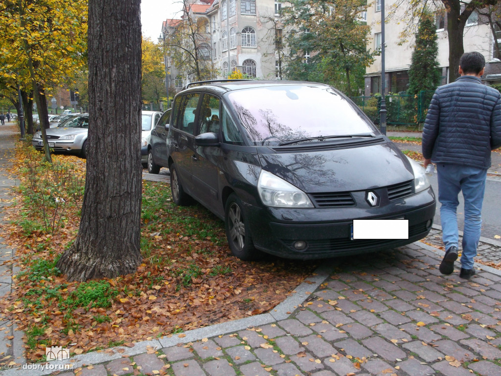Toruń jest pełen mistrzów parkowania