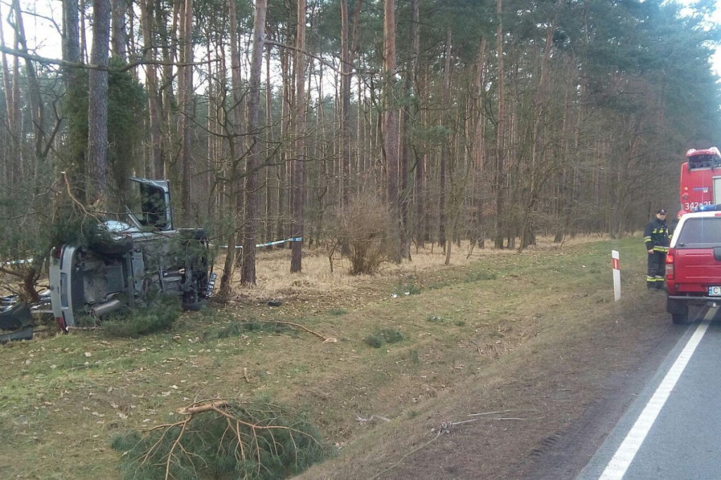 Tragedia w Cierpicach na DK10