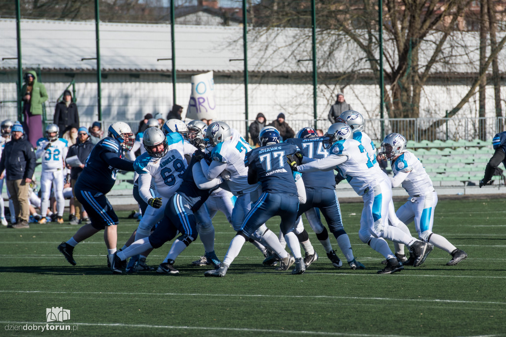 Angels Toruń - Warsaw Sharks 0:32
