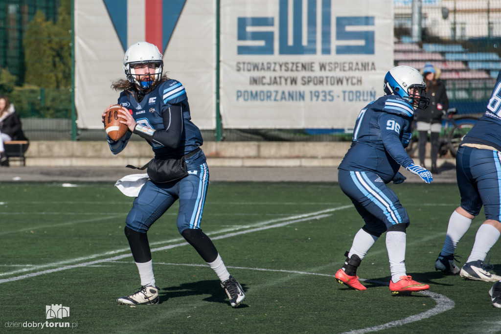 Angels Toruń - Warsaw Sharks 0:32