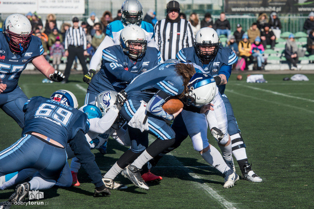 Angels Toruń - Warsaw Sharks 0:32