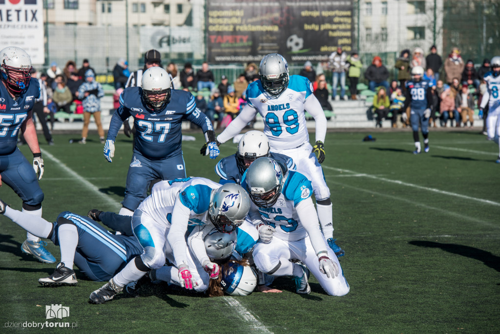 Angels Toruń - Warsaw Sharks 0:32