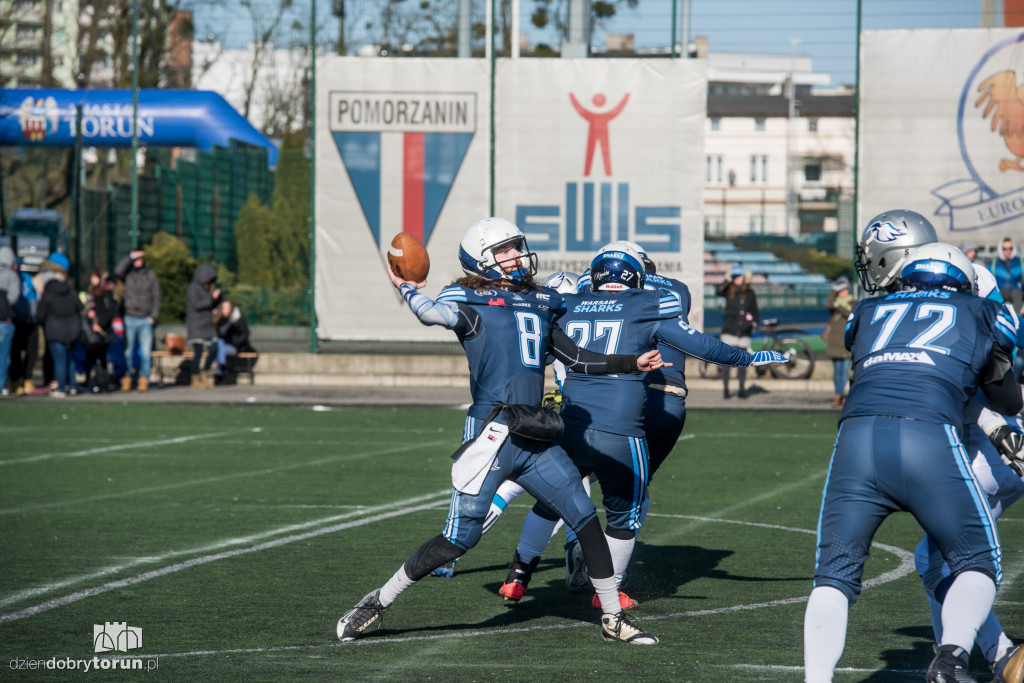 Angels Toruń - Warsaw Sharks 0:32