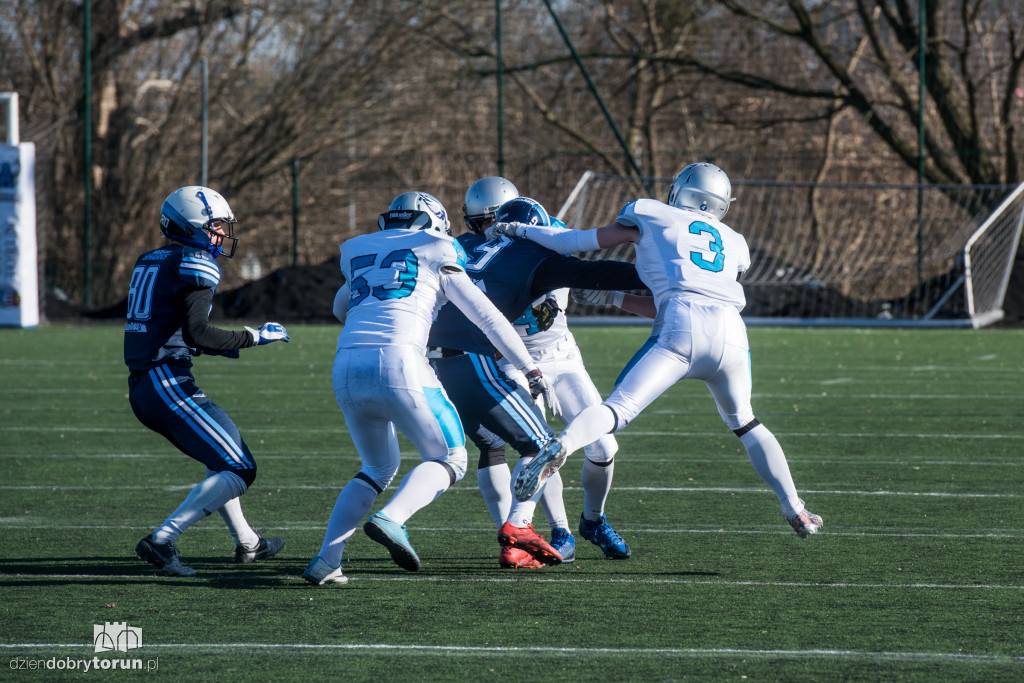 Angels Toruń - Warsaw Sharks 0:32