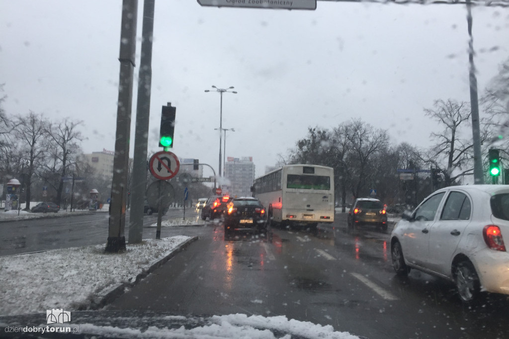 Zderzenie w centrum Torunia