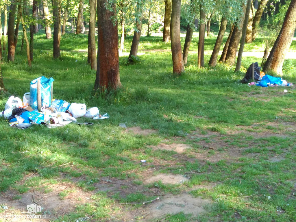 Urokliwa Martówka tonie w śmieciach