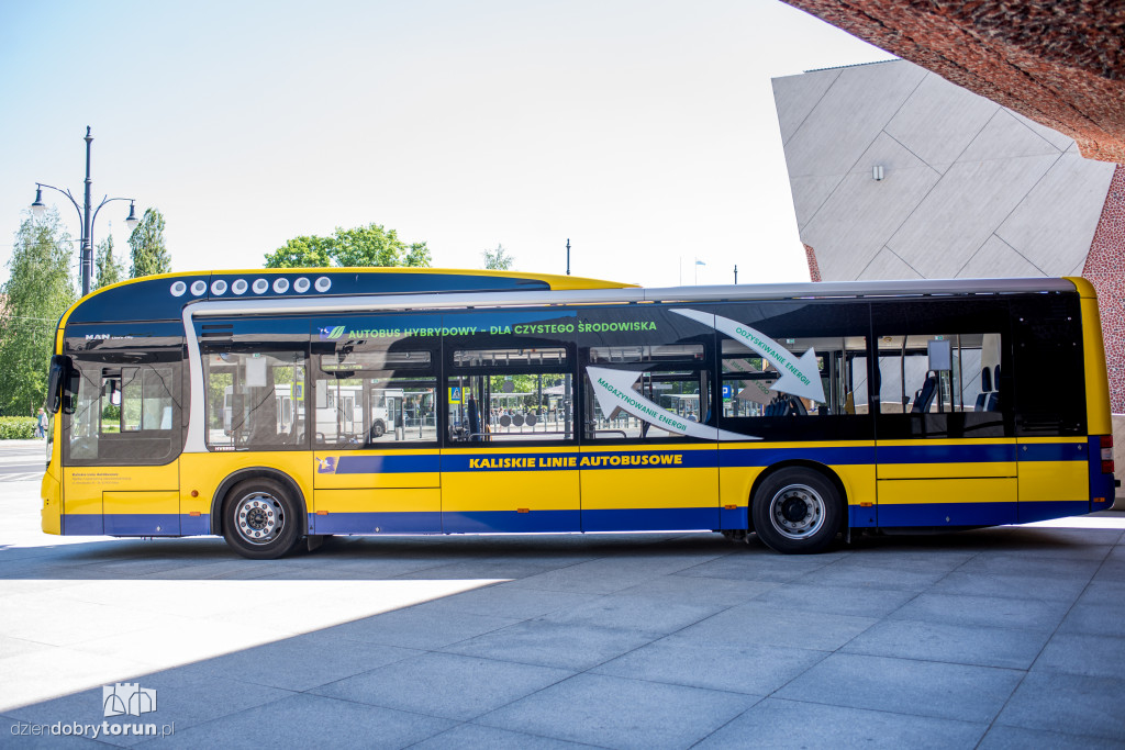 Toruń kupuje autobusy hybrydowe