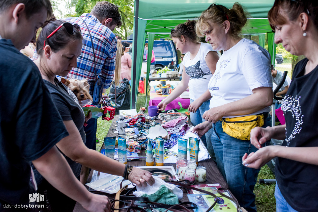 Piknik dla przyjaciół schroniska