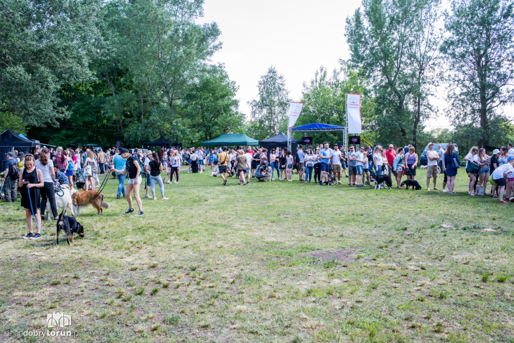 Piknik dla przyjaciół schroniska
