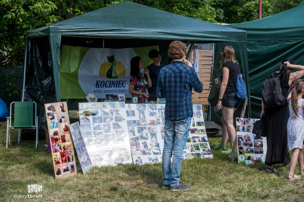 Piknik dla przyjaciół schroniska