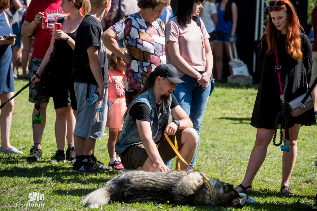 Piknik dla przyjaciół schroniska