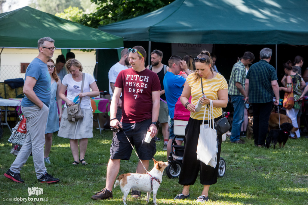 Piknik dla przyjaciół schroniska