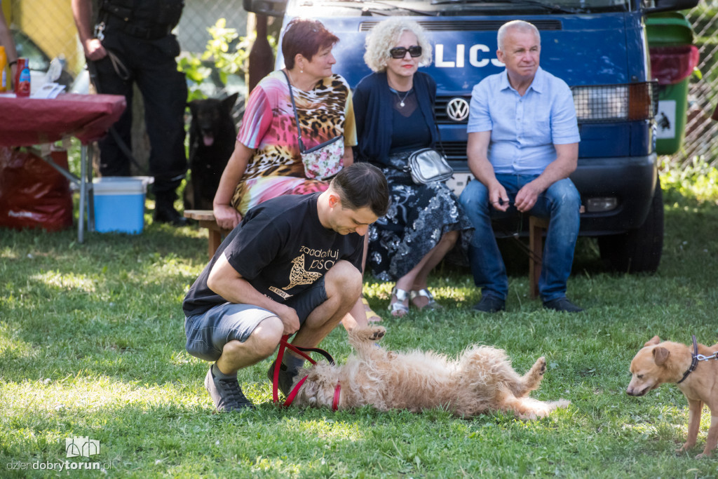 Piknik dla przyjaciół schroniska
