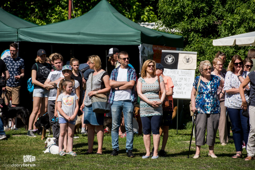 Piknik dla przyjaciół schroniska
