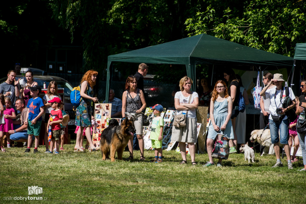 Piknik dla przyjaciół schroniska