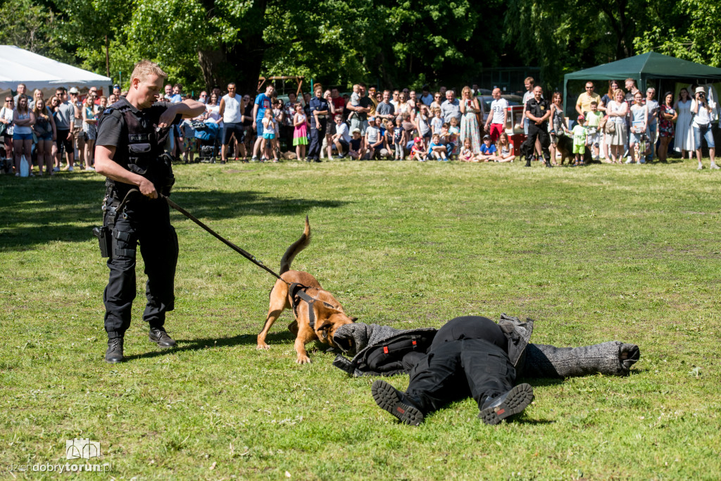 Piknik dla przyjaciół schroniska