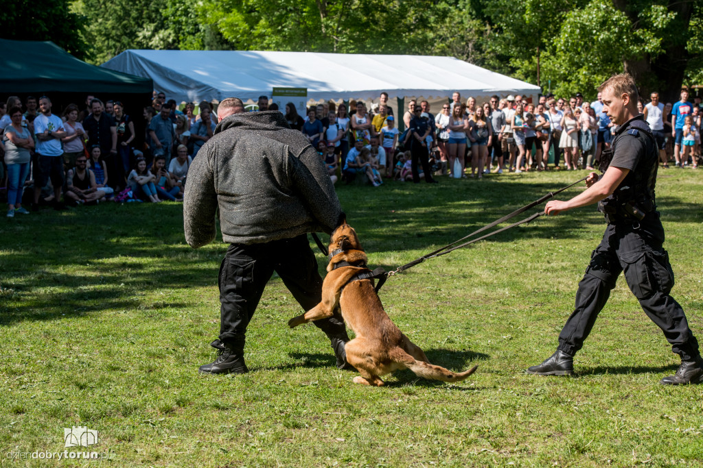 Piknik dla przyjaciół schroniska
