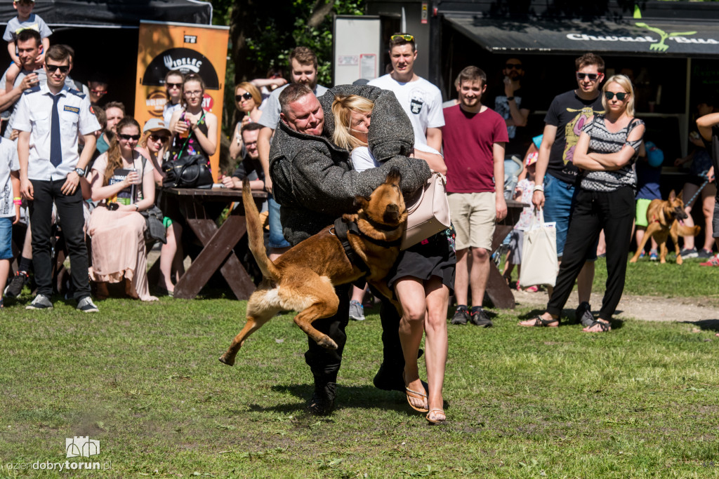 Piknik dla przyjaciół schroniska
