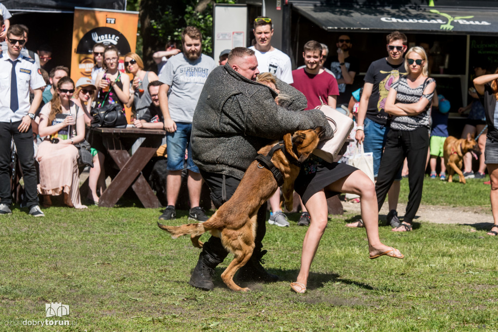 Piknik dla przyjaciół schroniska