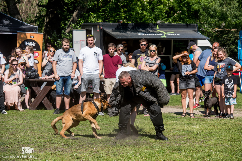 Piknik dla przyjaciół schroniska