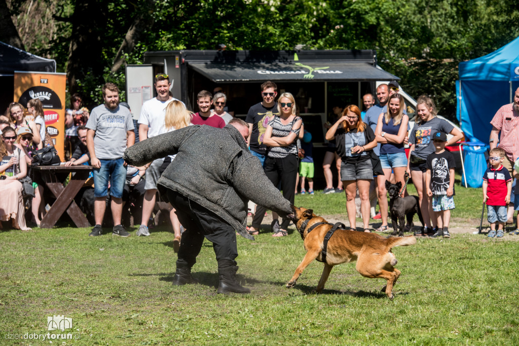 Piknik dla przyjaciół schroniska