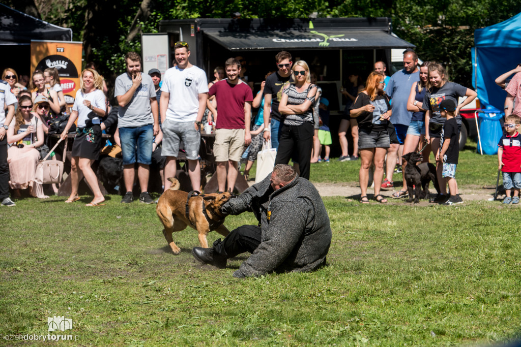 Piknik dla przyjaciół schroniska