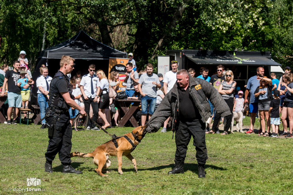 Piknik dla przyjaciół schroniska