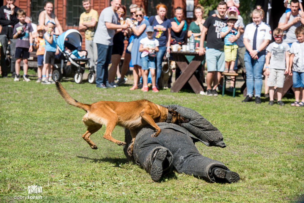 Piknik dla przyjaciół schroniska