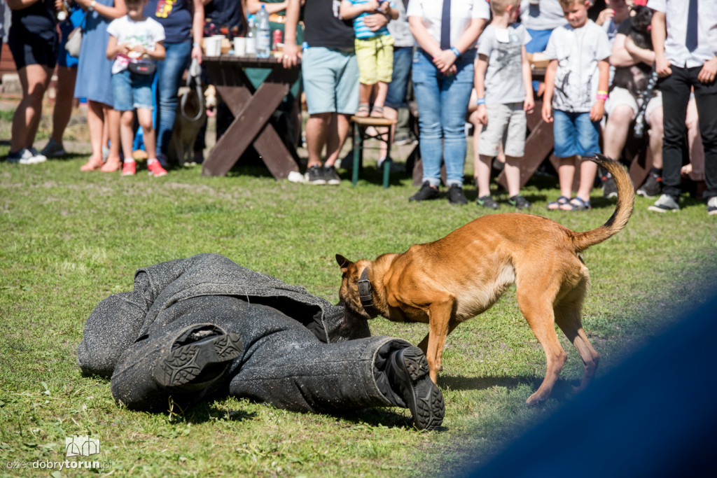 Piknik dla przyjaciół schroniska