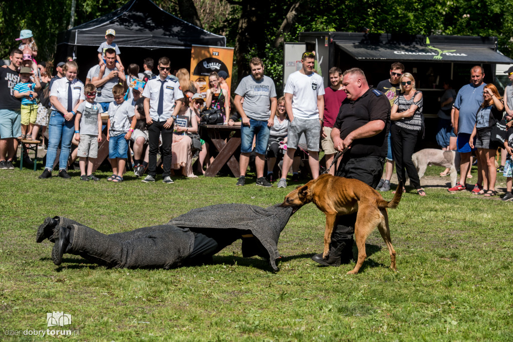 Piknik dla przyjaciół schroniska