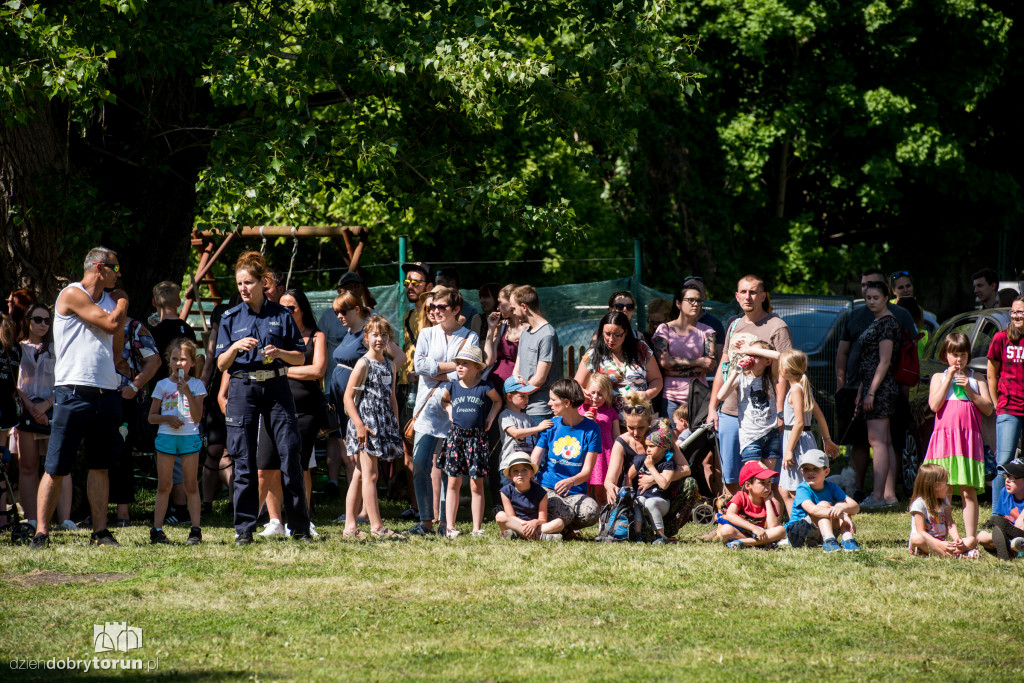 Piknik dla przyjaciół schroniska