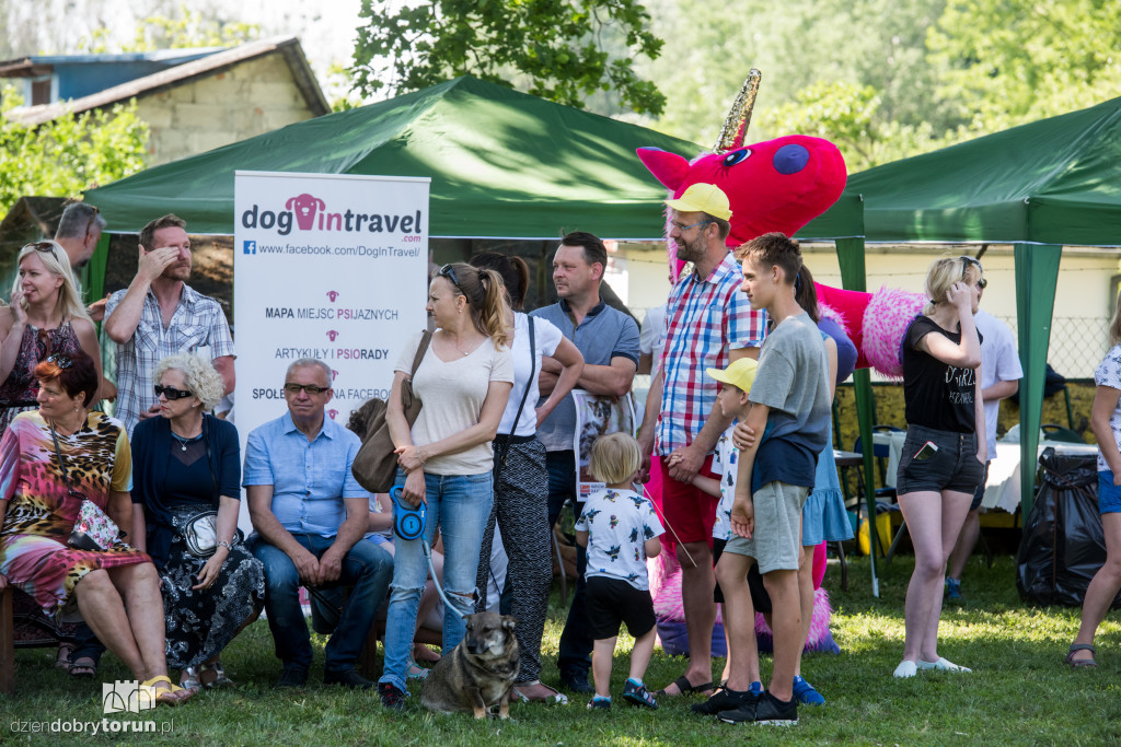 Piknik dla przyjaciół schroniska