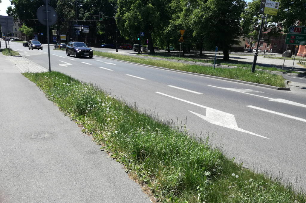 Trawa zarasta w centrum miasta