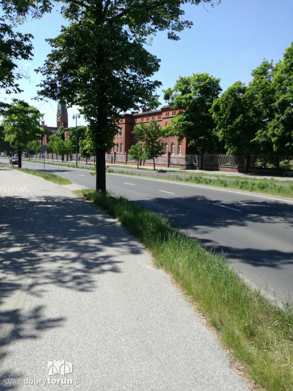 Trawa zarasta w centrum miasta
