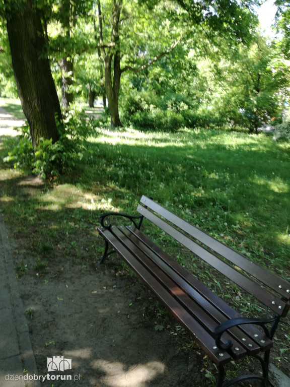 Trawa zarasta w centrum miasta