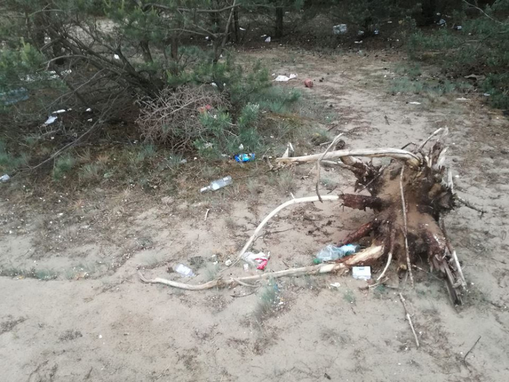 Tak wygląda JAR 10 dni po sprzątaniu