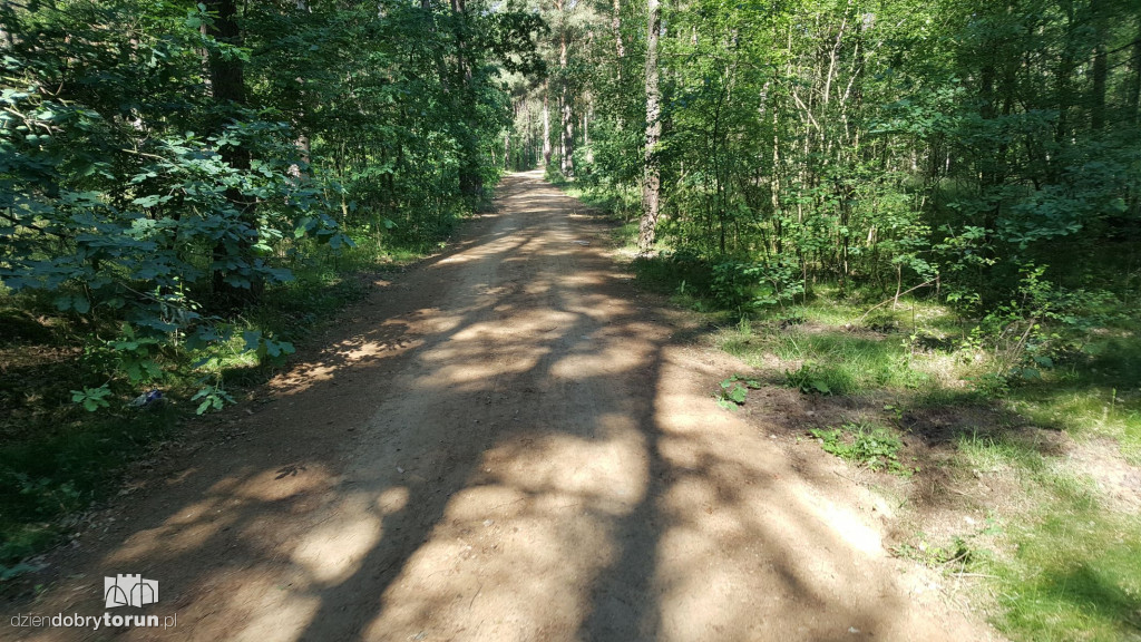 Ścieżka rekreacyjna na Skarpie
