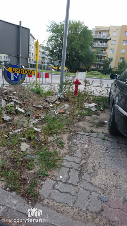 Bałagan przy Szosie Chełmińskiej