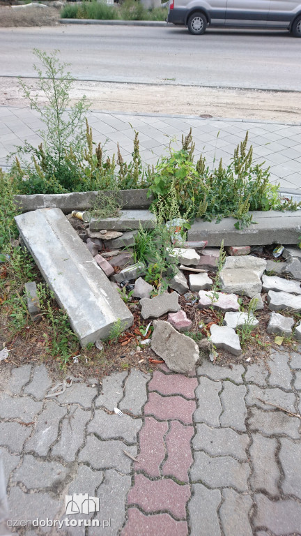 Bałagan przy Szosie Chełmińskiej